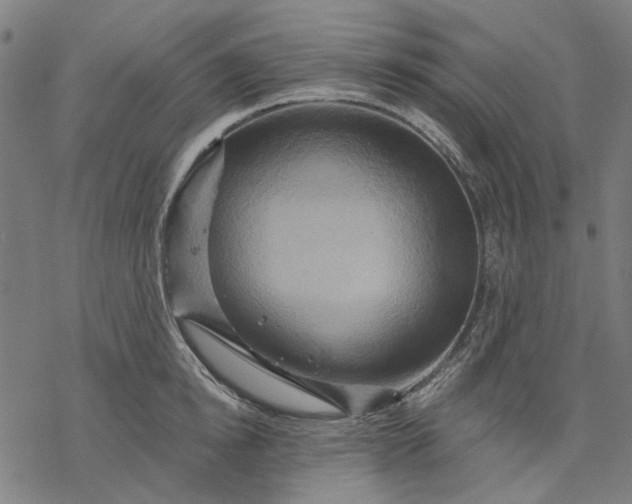 X0000068320854200605051554