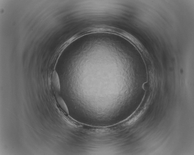 X0000068320857200605051554
