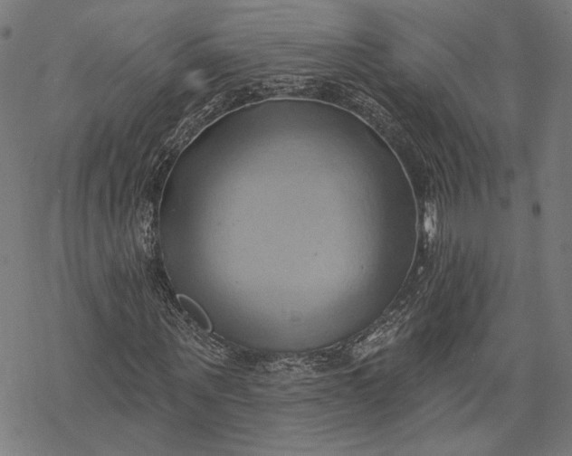 X0000068320867200605051554