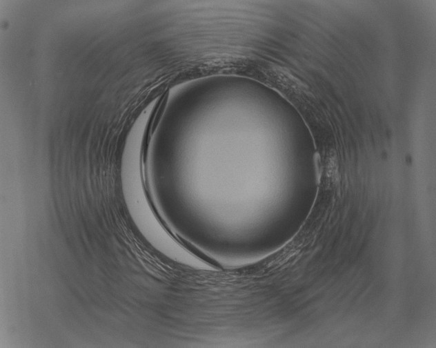 X0000068320868200605051554