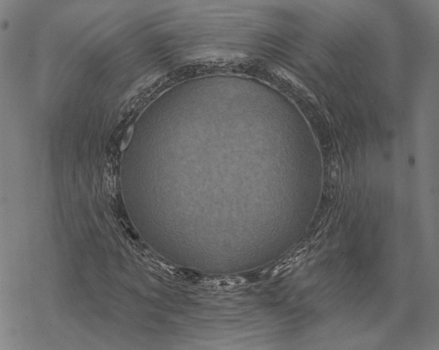 X0000068320869200605051554