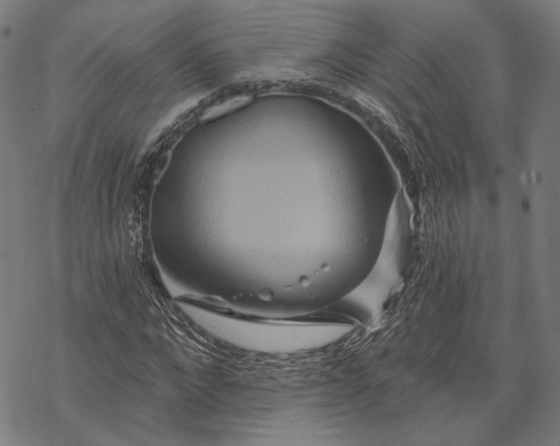 X0000068320872200605051554