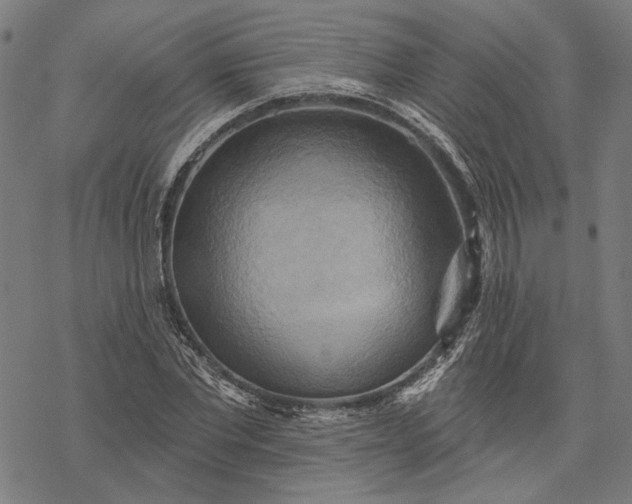 X0000068320877200605051553