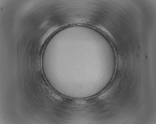 X0000068320878200605051553
