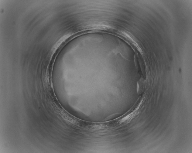 X0000068320883200605051553