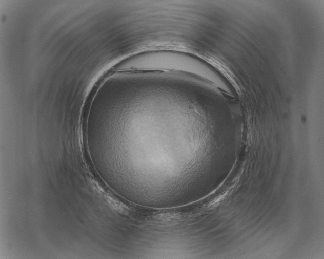 X0000068320888200605051553