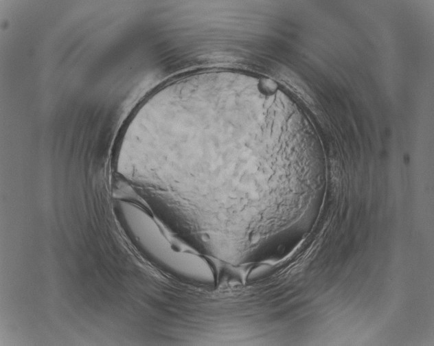 X0000068320891200605051553