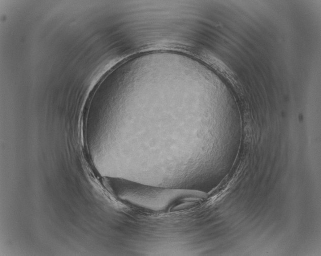 X0000068320892200605051553