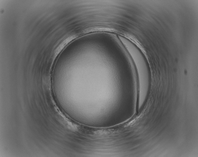 X0000068320898200605051553