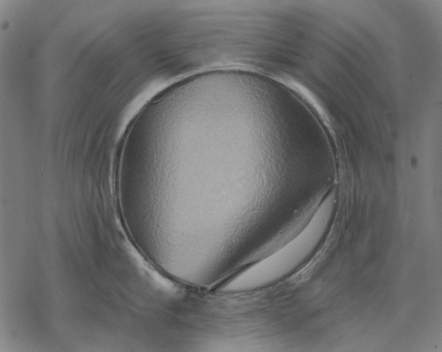 X0000068320910200605051553