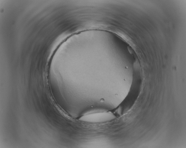 X0000068320912200605051553