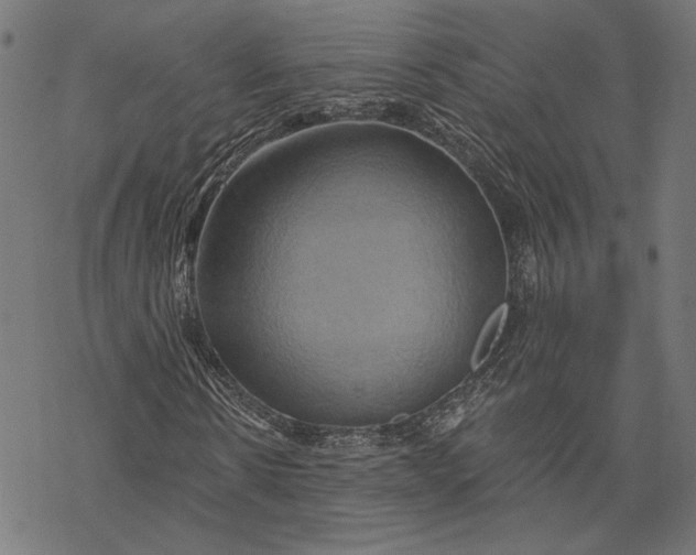 X0000068320914200605051552