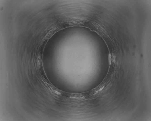 X0000068320915200605051552