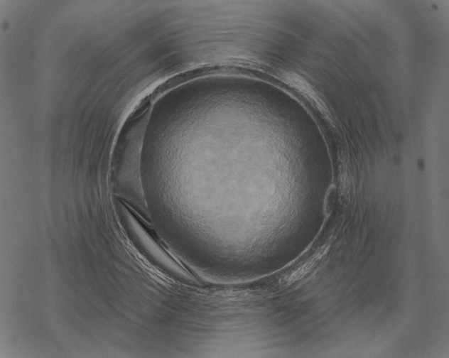 X0000068320924200605051552