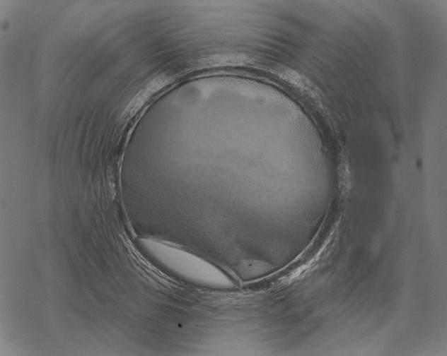 X0000068320929200605051552