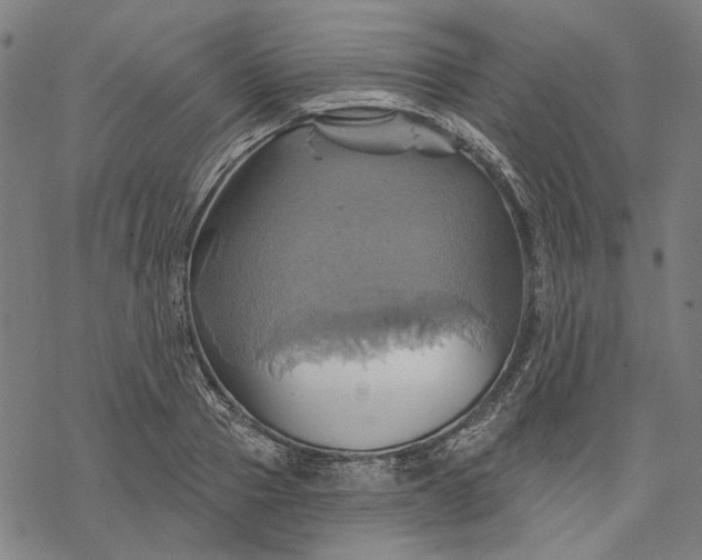 X0000068320937200605051553