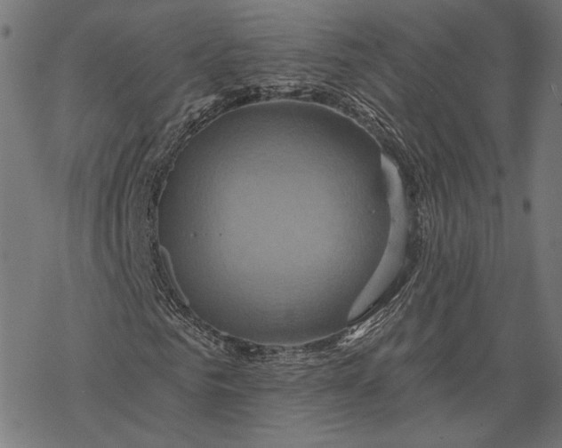 X0000068320961200605051552