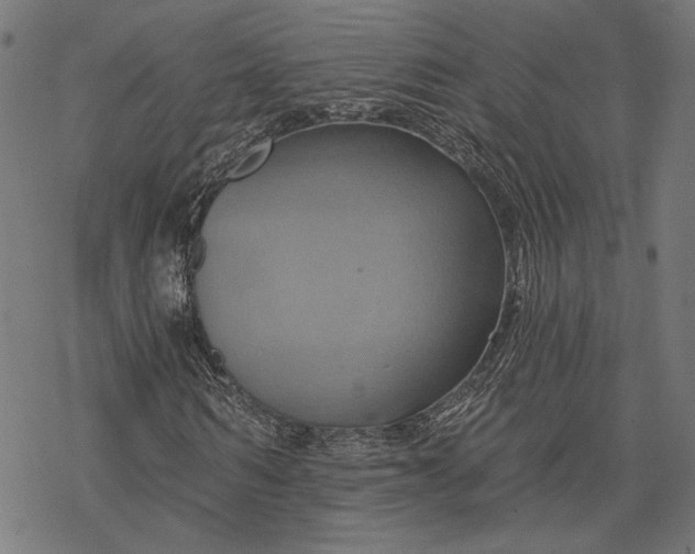 X0000068320962200605051552