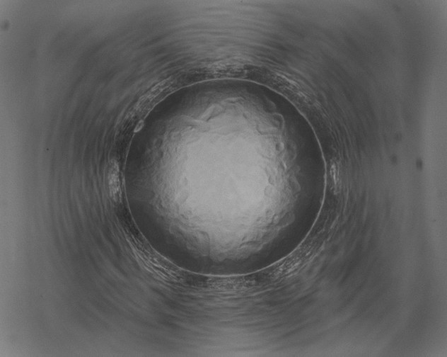 X0000068320963200605051552