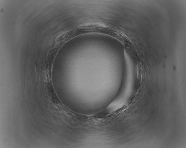 X0000068320965200605051552