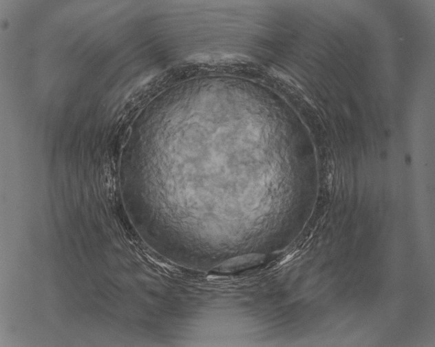 X0000068320966200605051552