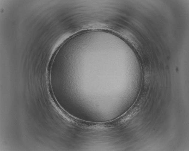 X0000068320990200605051552