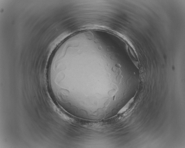 X0000068320995200605051552
