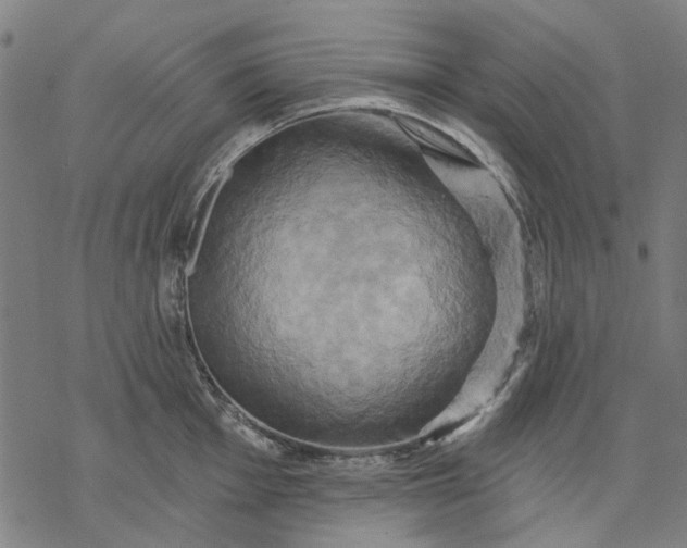 X0000068321001200605051551