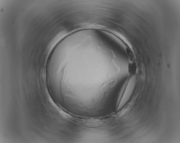 X0000068321007200605051551