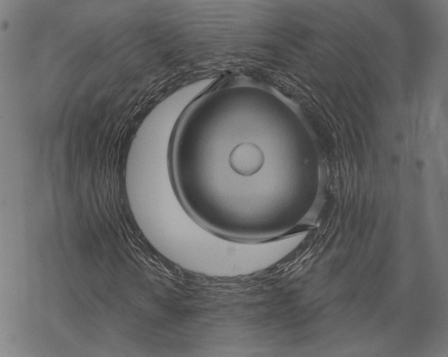 X0000068321010200605051551