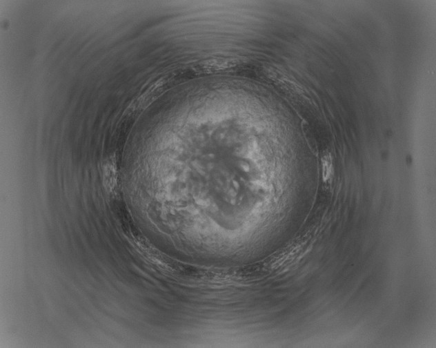 X0000068321011200605051551