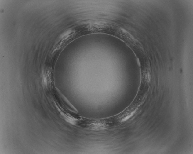 X0000068321012200605051551