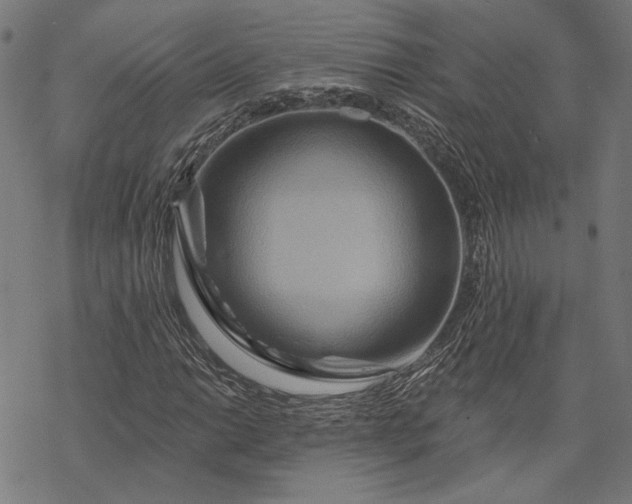 X0000068321014200605051551