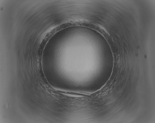 X0000068321016200605051551