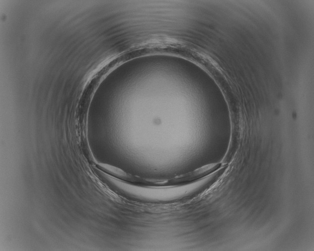 X0000068321018200605051551