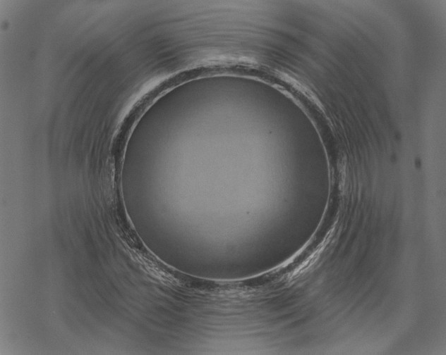 X0000068321021200605051551