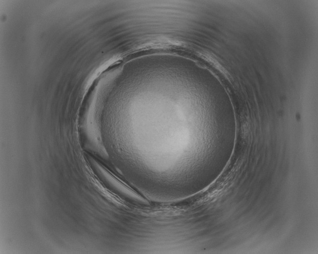 X0000068321026200605051551