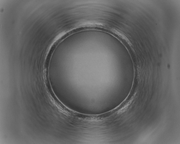 X0000068321029200605051551