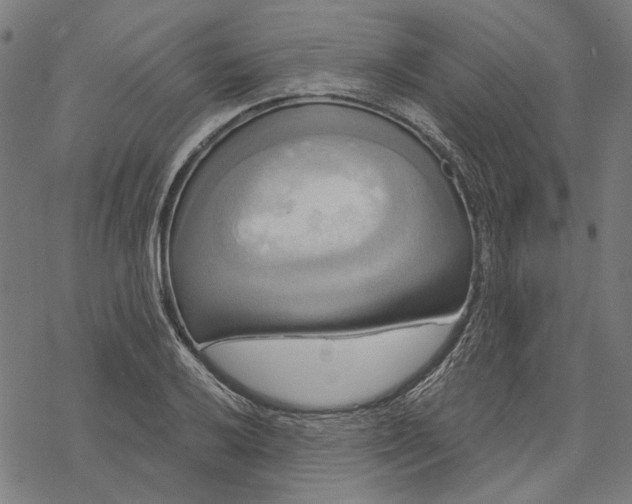 X0000068321032200605051551