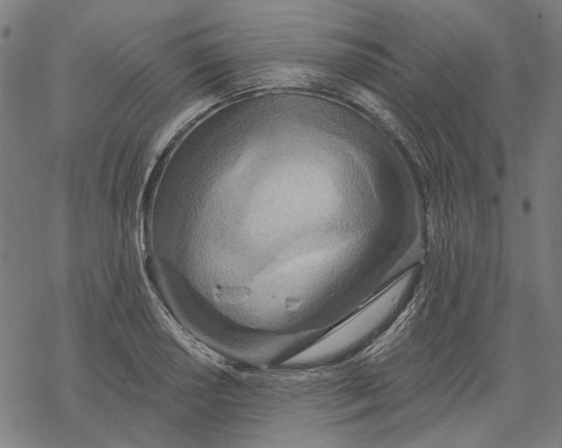 X0000068321034200605051551