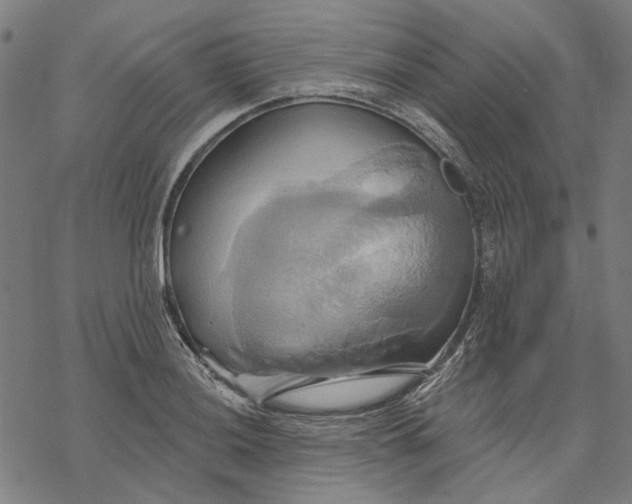 X0000068321036200605051551