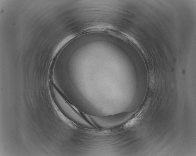 X0000068321042200605051551