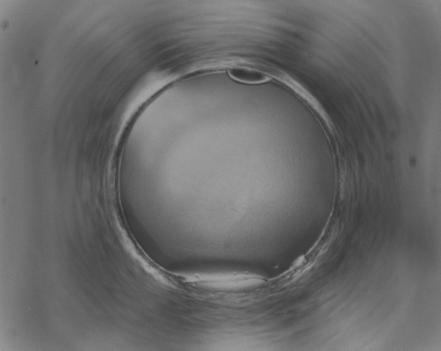 X0000068321053200605051551