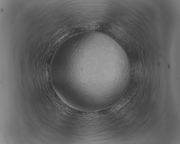 X0000068321058200605051550