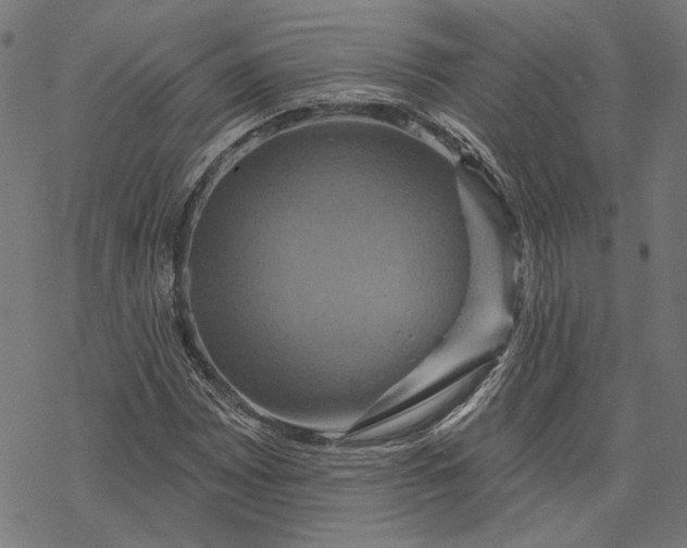 X0000068321065200605051550