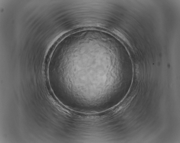 X0000068321068200605051550