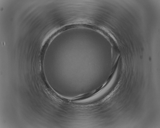 X0000068321069200605051550
