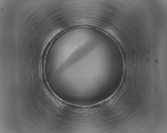 X0000068321076200605051550