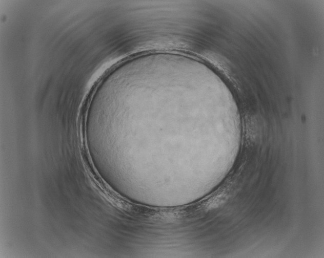 X0000068321078200605051550