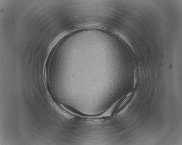 X0000068321082200605051550